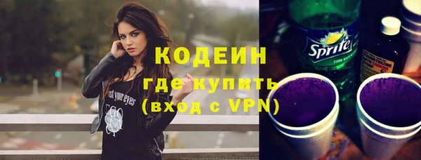 ГАЛЛЮЦИНОГЕННЫЕ ГРИБЫ Чекалин