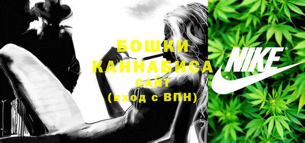 сатива Чердынь